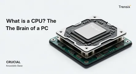 What is a CPU? The Brain of a PC
