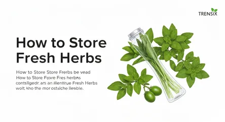 How to Store Fresh Herbs