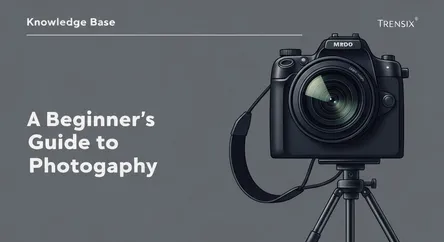 A Beginner's Guide to Photography