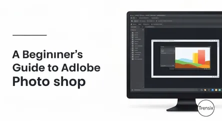 A Beginner's Guide to Adobe Photoshop
