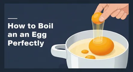 How to Boil an Egg Perfectly