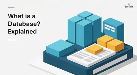 What is a Database? Explained