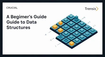 A Beginner's Guide to Data Structures