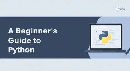 A Beginner's Guide to Python