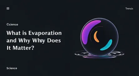What is Evaporation and Why Does It Matter?