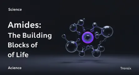 Amides: The Building Blocks of Life