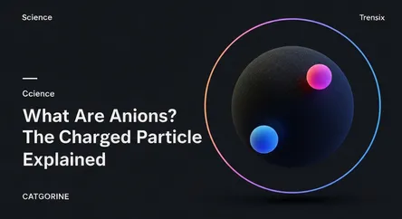 What Are Anions? The Charged Particle Explained