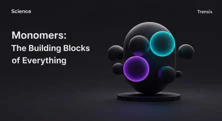Monomers: The Building Blocks of Everything