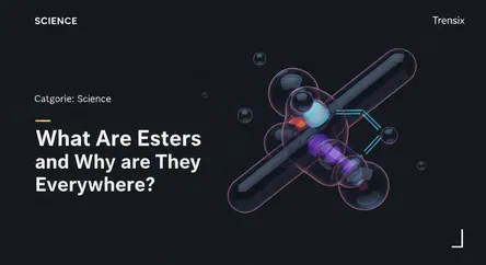 What Are Esters and Why Are They Everywhere?