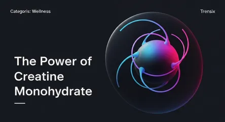 The Power of Creatine Monohydrate
