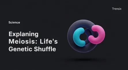 Explaining Meiosis: Life's Genetic Shuffle