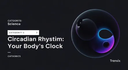 Circadian Rhythm: Your Body's Clock