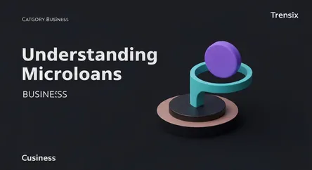 Understanding Microloans