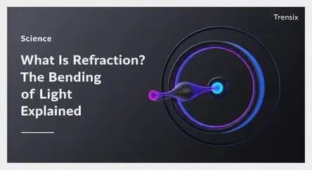 What Is Refraction? The Bending of Light Explained