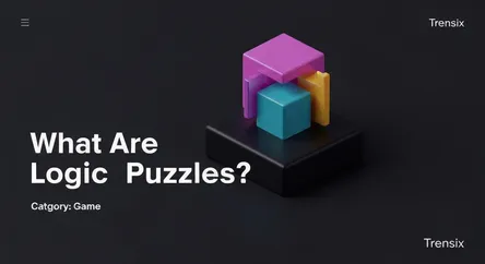 What Are Logic Puzzles?