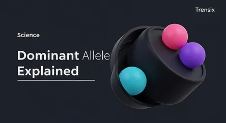 Dominant Allele Explained