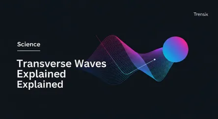 Transverse Waves Explained