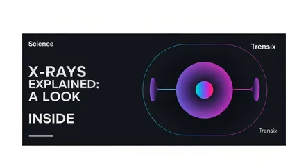 X-Rays Explained: A Look Inside