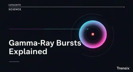 Gamma-Ray Bursts Explained