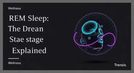 REM Sleep: The Dream Stage Explained