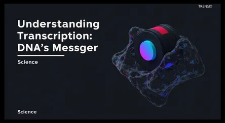 Understanding Transcription: DNA's Messenger