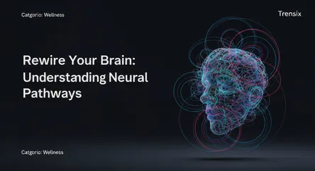 Rewire Your Brain: Understanding Neural Pathways