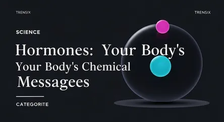 Hormones: Your Body's Chemical Messengers