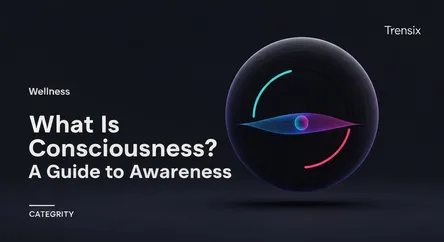 What Is Consciousness? A Guide to Awareness