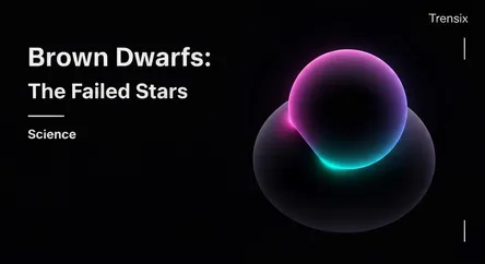 Brown Dwarfs: The Failed Stars