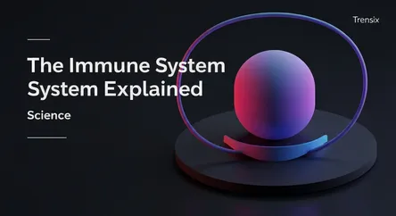 The Immune System Explained