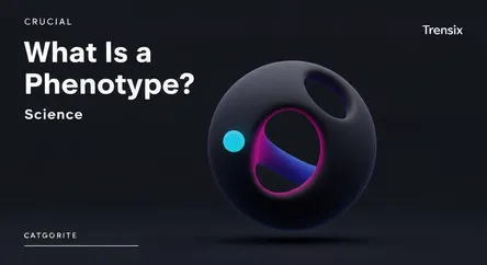 What Is a Phenotype?
