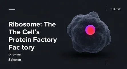 Ribosome: The Cell's Protein Factory
