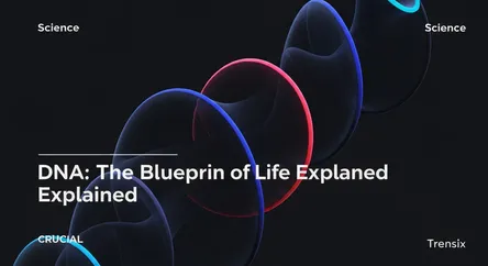 DNA: The Blueprint of Life Explained