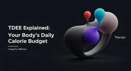 TDEE Explained: Your Body's Daily Calorie Budget