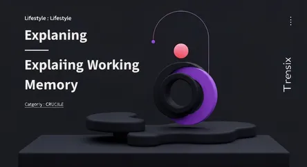 Explaining Working Memory