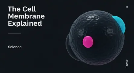 The Cell Membrane Explained