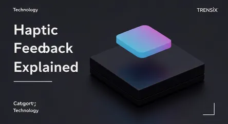 Haptic Feedback Explained