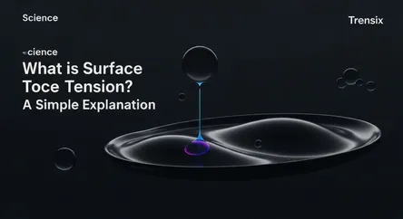 What is Surface Tension? A Simple Explanation