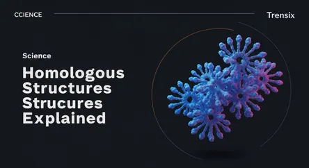 Homologous Structures Explained