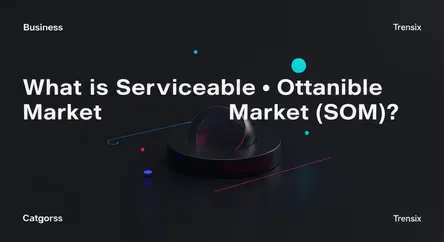 What is Serviceable Obtainable Market (SOM)?