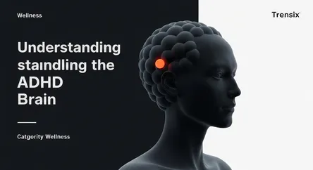 Understanding the ADHD Brain