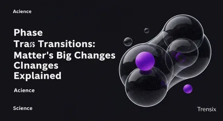 Phase Transitions: Matter's Big Changes Explained