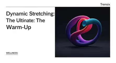 Dynamic Stretching: The Ultimate Warm-Up