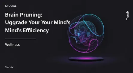 Brain Pruning: Upgrade Your Mind's Efficiency