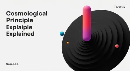 Cosmological Principle Explained