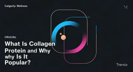 What Is Collagen Protein and Why Is It Popular?