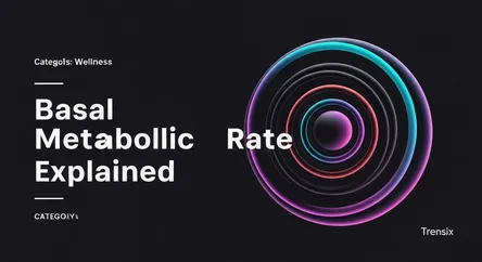 Basal Metabolic Rate Explained