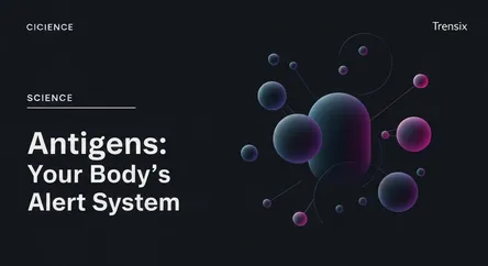 Antigens: Your Body's Alert System