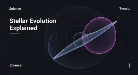 Stellar Evolution Explained