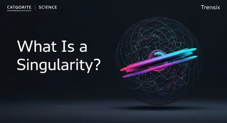 What Is a Singularity?